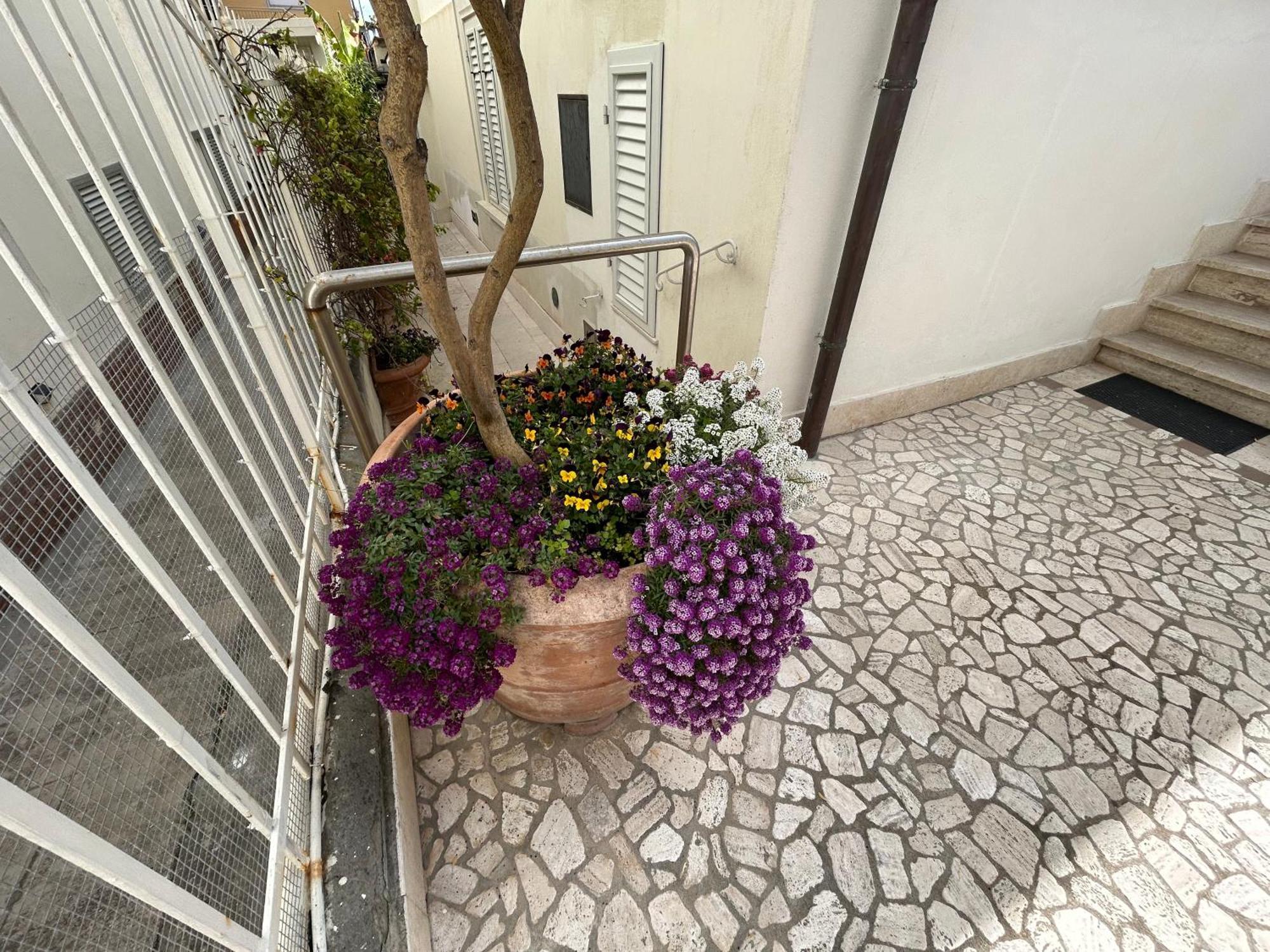 La Casa Di Rosi Al Mare Apartment วาดา ภายนอก รูปภาพ